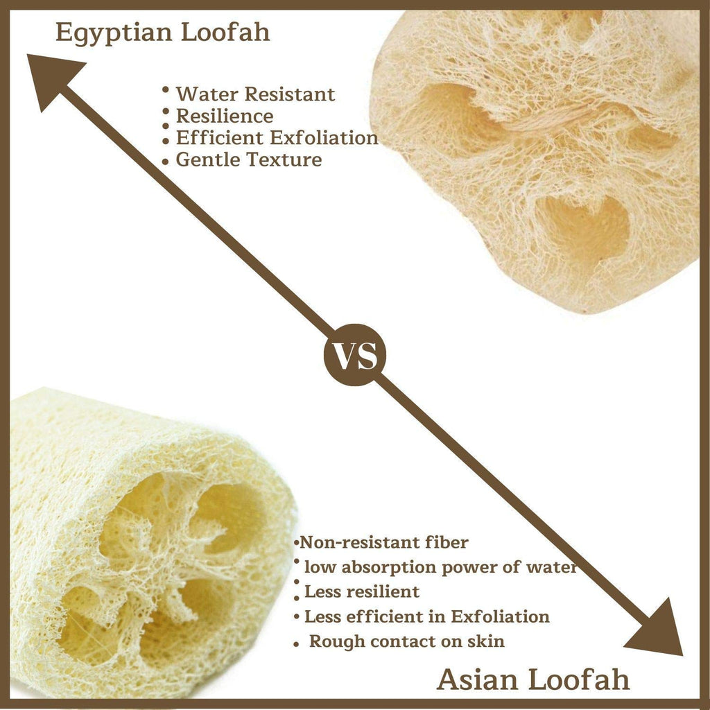 One Whole Egyptian Loofah 100% Natural SPA Beauty Bath Sponge Body Scrubber Puff. Premium Quality Lofa Loofa Luffa Loffa for exfoliating Your Skin.