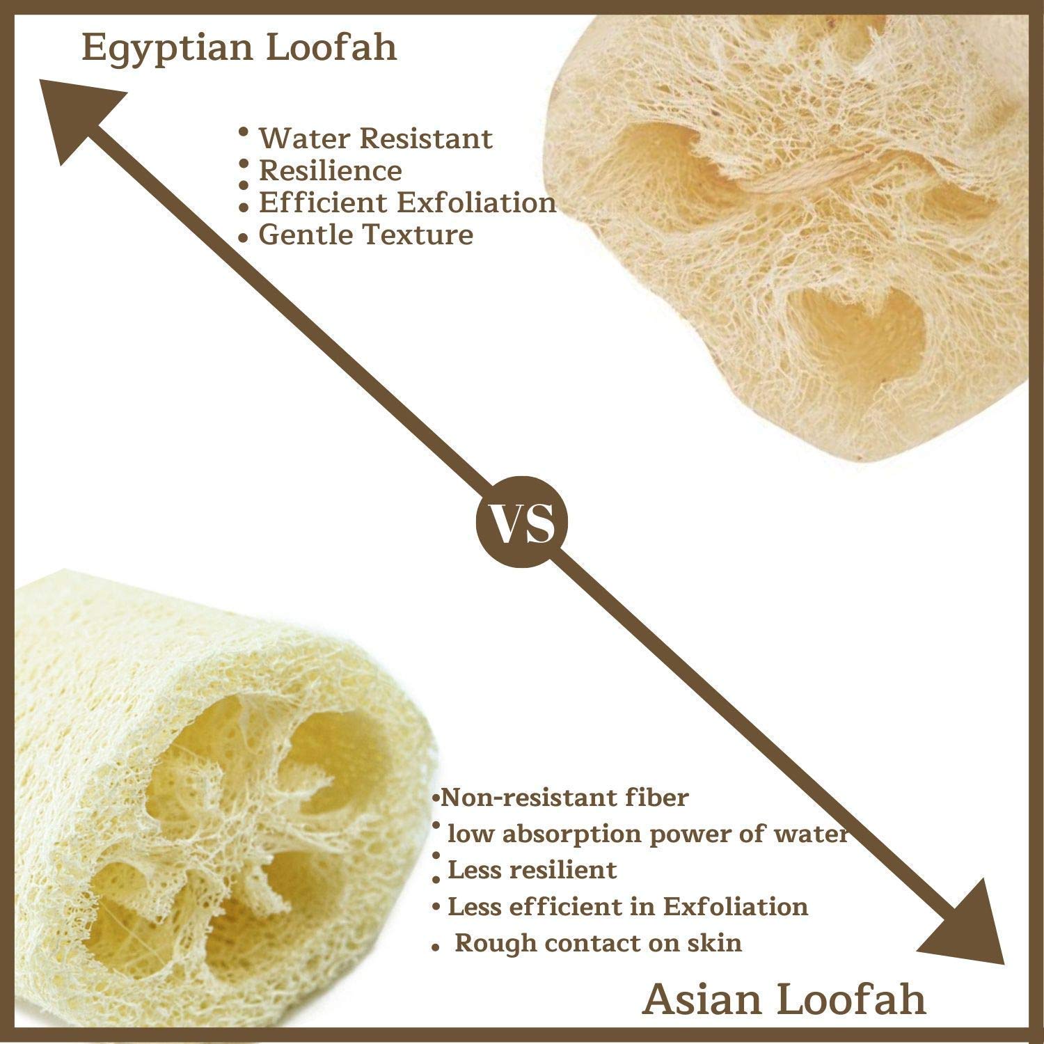 One Whole Egyptian Loofah 100% Natural SPA Beauty Bath Sponge Body Scrubber Puff. Premium Quality Lofa Loofa Luffa Loffa for exfoliating Your Skin.