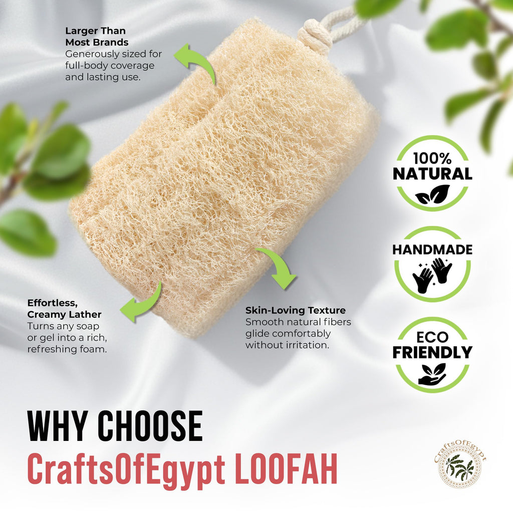 All Natural Loofah Sponge, Pack of 1 Real Egyptian Bath & Shower Exfoliating Loofa Scrubber Sponges for Face, Back & Body, Eco Friendly, No Toxic Chemicals, 6" x 6" by Crafts of Egypt