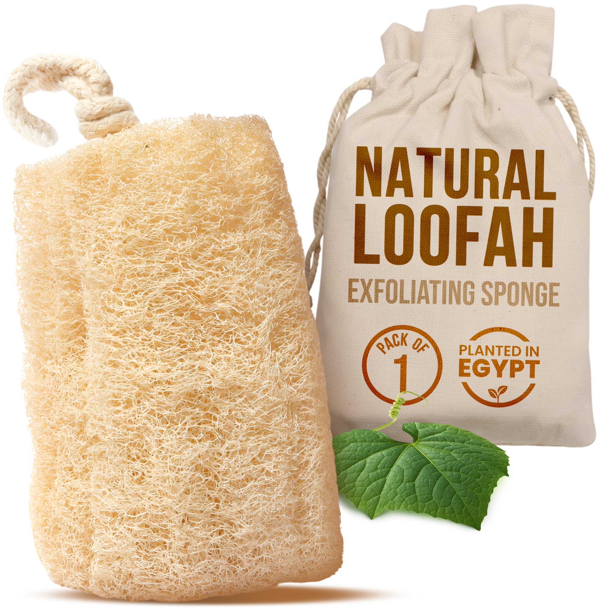 All Natural Loofah Sponge, Pack of 1 Real Egyptian Bath & Shower Exfoliating Loofa Scrubber Sponges for Face, Back & Body, Eco Friendly, No Toxic Chemicals, 6" x 6" by Crafts of Egypt