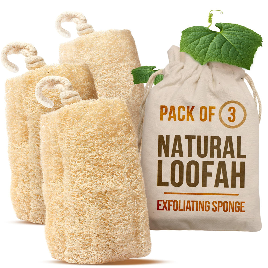 All Natural Loofah Sponge, Pack of 1 Real Egyptian Bath & Shower Exfoliating Loofa Scrubber Sponges for Face, Back & Body, Eco Friendly, No Toxic Chemicals, 6" x 6" by Crafts of Egypt