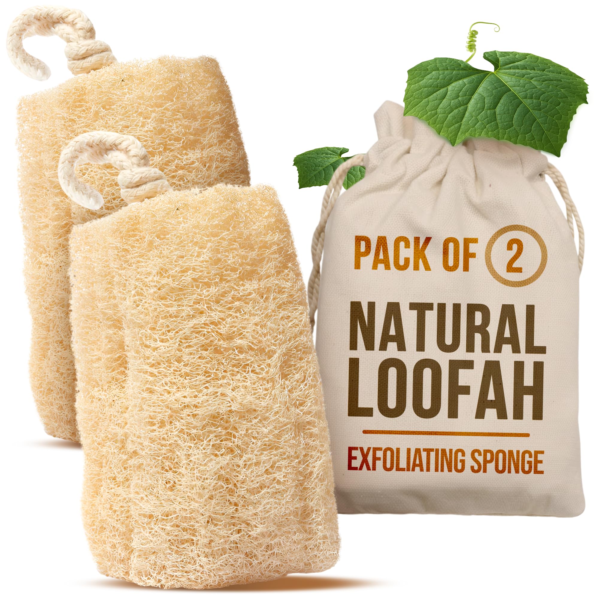 All Natural Loofah Sponge, Pack of 1 Real Egyptian Bath & Shower Exfoliating Loofa Scrubber Sponges for Face, Back & Body, Eco Friendly, No Toxic Chemicals, 6" x 6" by Crafts of Egypt